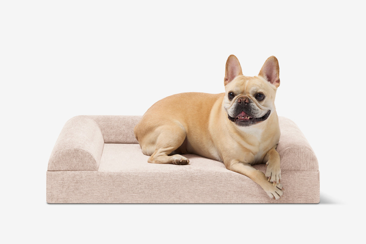Junior Orthopedic Dog Bed