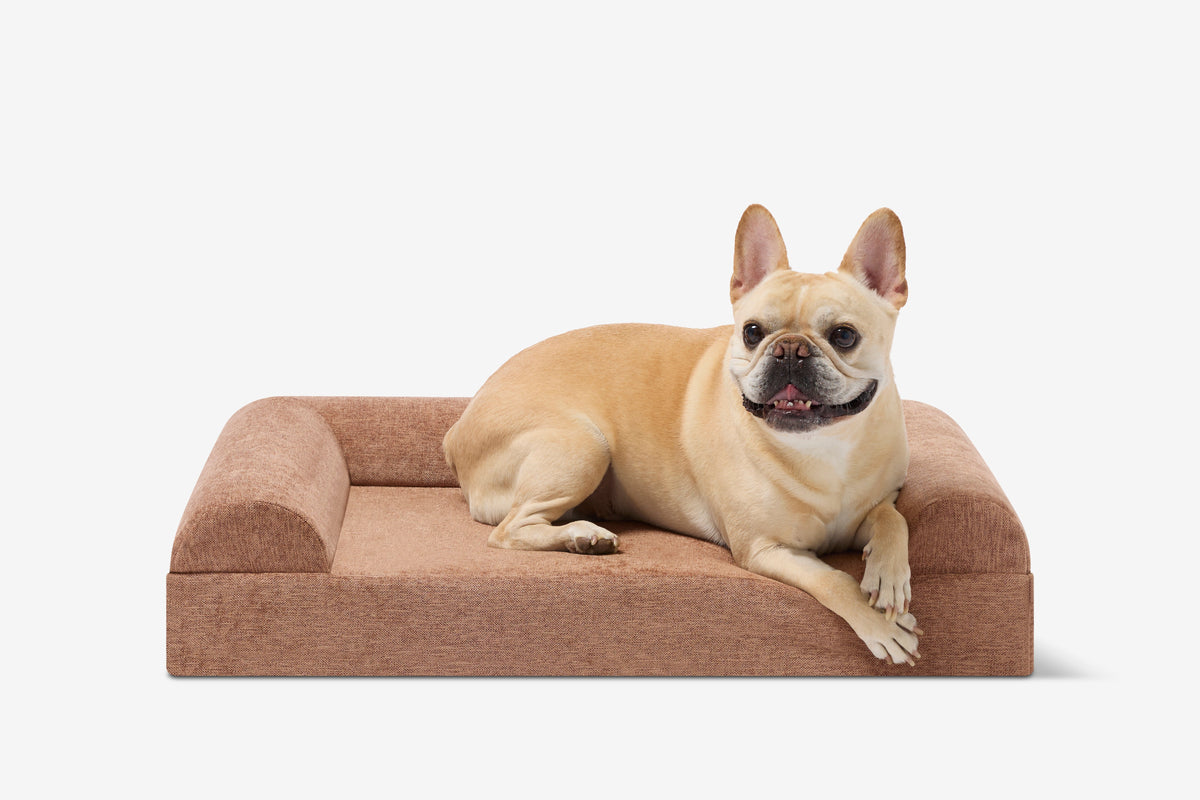 Junior Orthopedic Dog Bed
