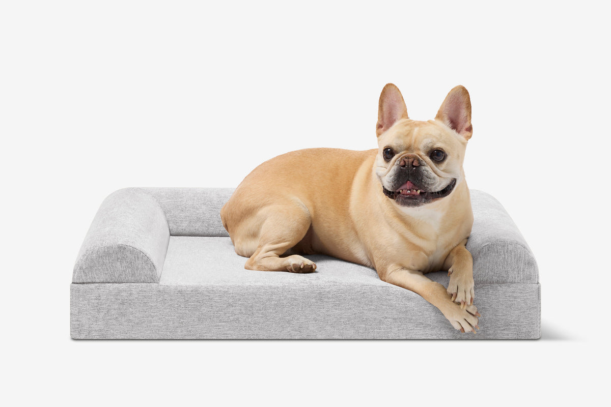 Junior Orthopedic Dog Bed