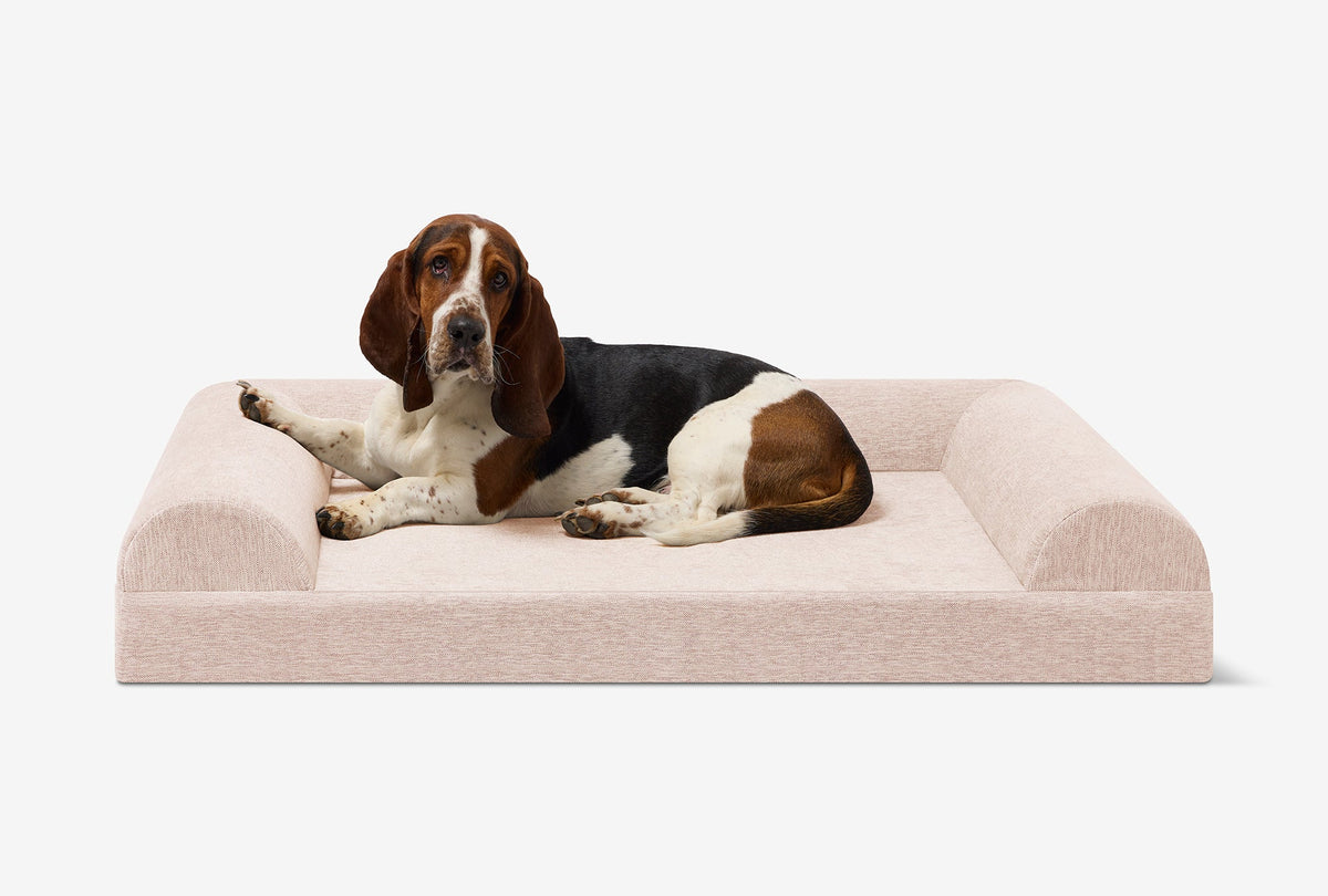Junior Orthopedic Dog Bed