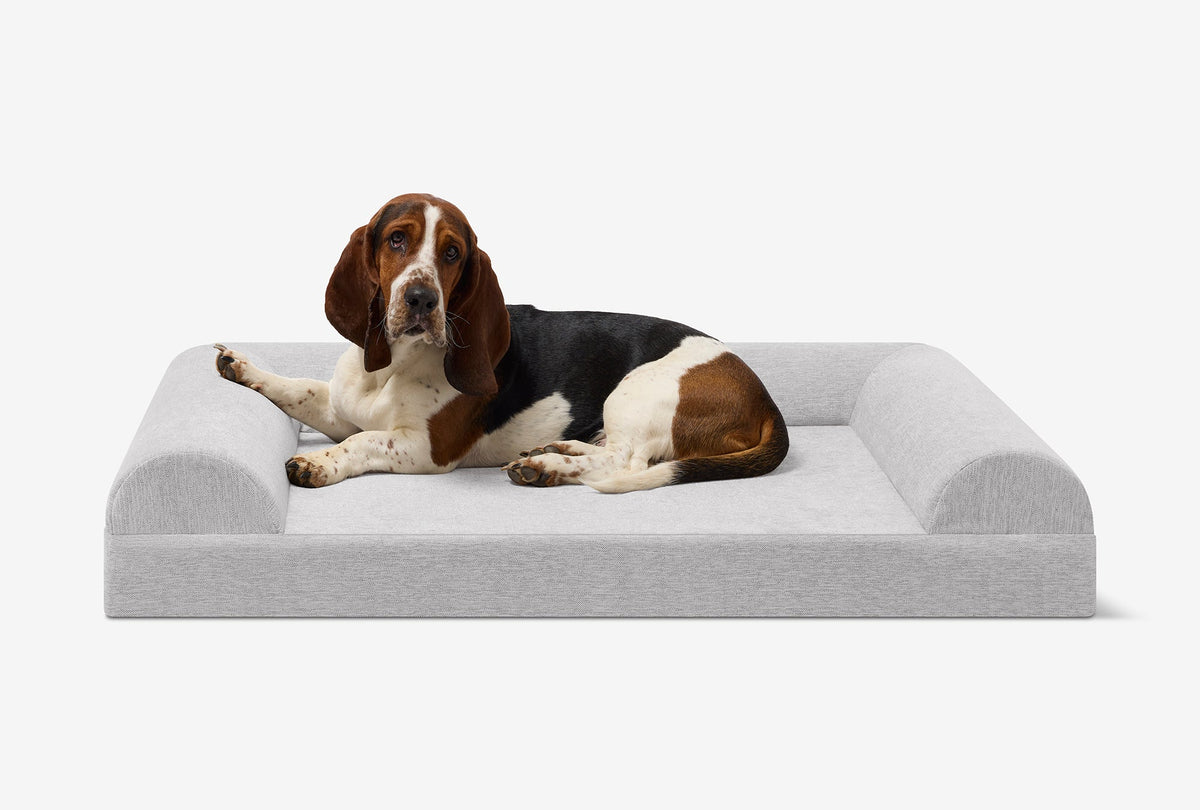 Junior Orthopedic Dog Bed
