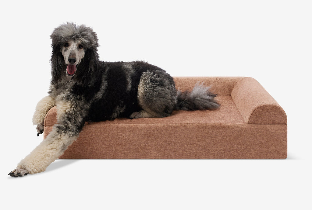 Original Orthopedic Dog Bed