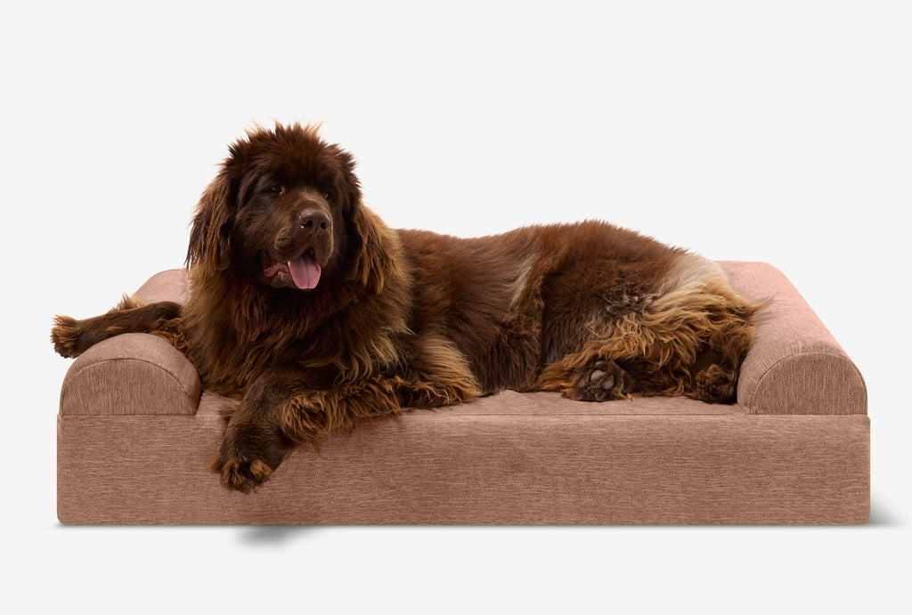 Original Orthopedic Dog Bed