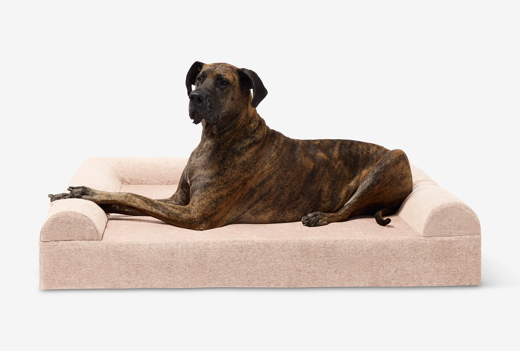 Original Orthopedic Dog Bed