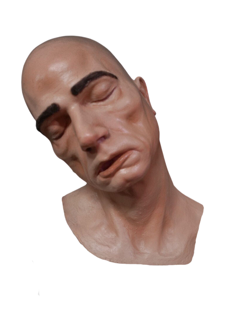 Alan Cadaver Head Halloween decoration