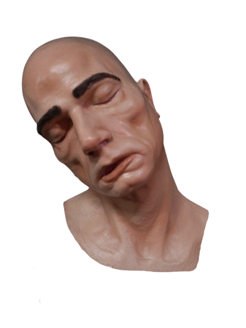 Alan Cadaver Head Halloween decoration