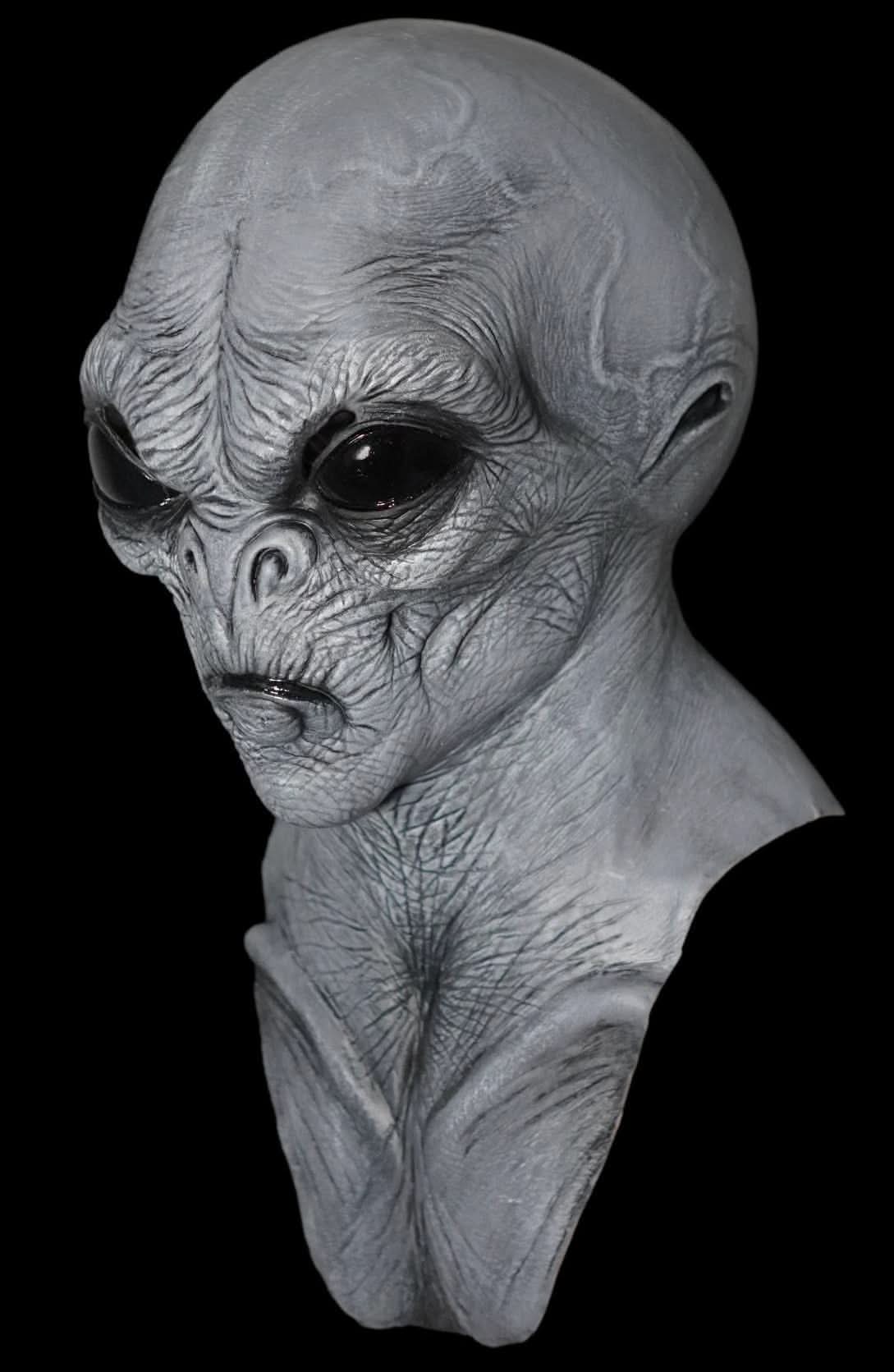 "Alien Grey Halloween Mask and Hand Set" view 2