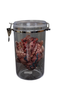 Alien Heart Specimen Jar Halloween decoration