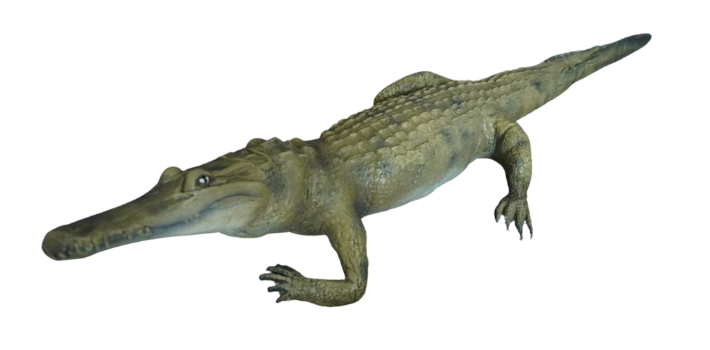 Alligator Prop Halloween decoration
