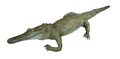 Alligator Prop Halloween decoration