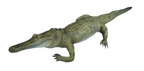 Alligator Prop Halloween decoration