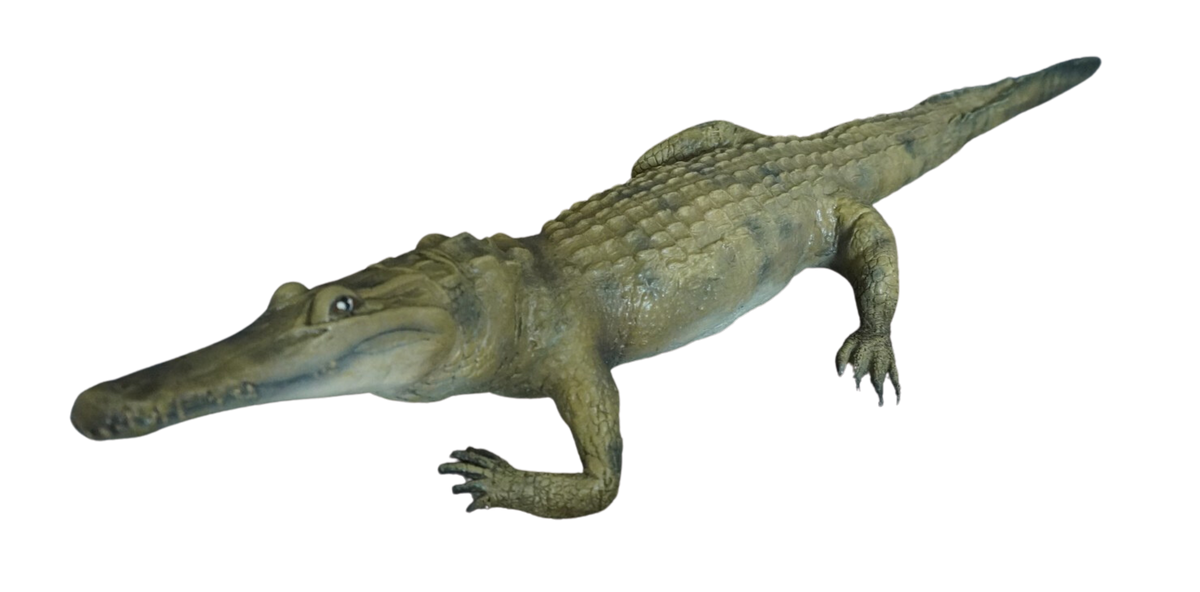 Alligator Prop Halloween decoration