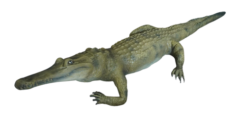 Alligator Prop Halloween decoration