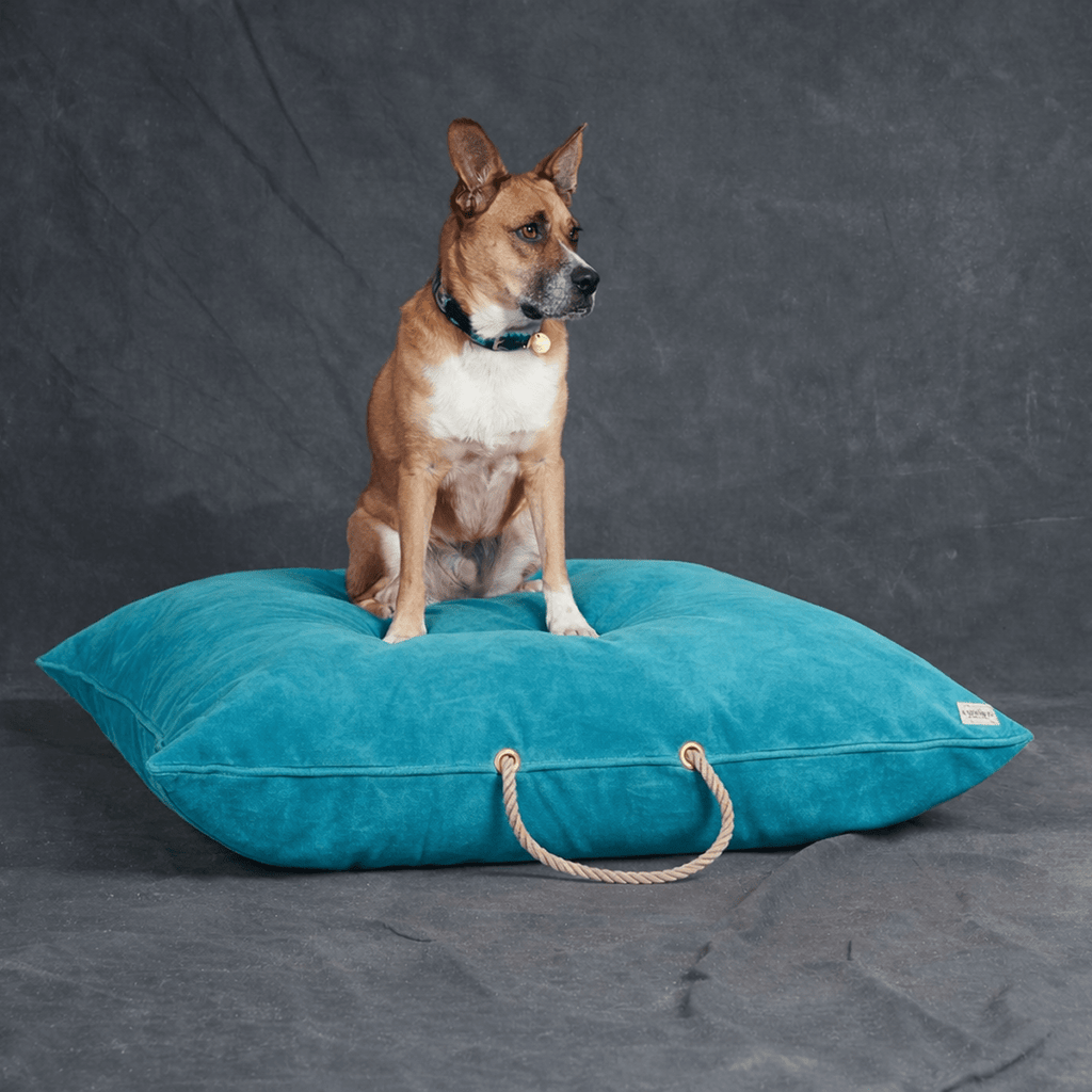 Aqua Washable Velvet Dog Bed