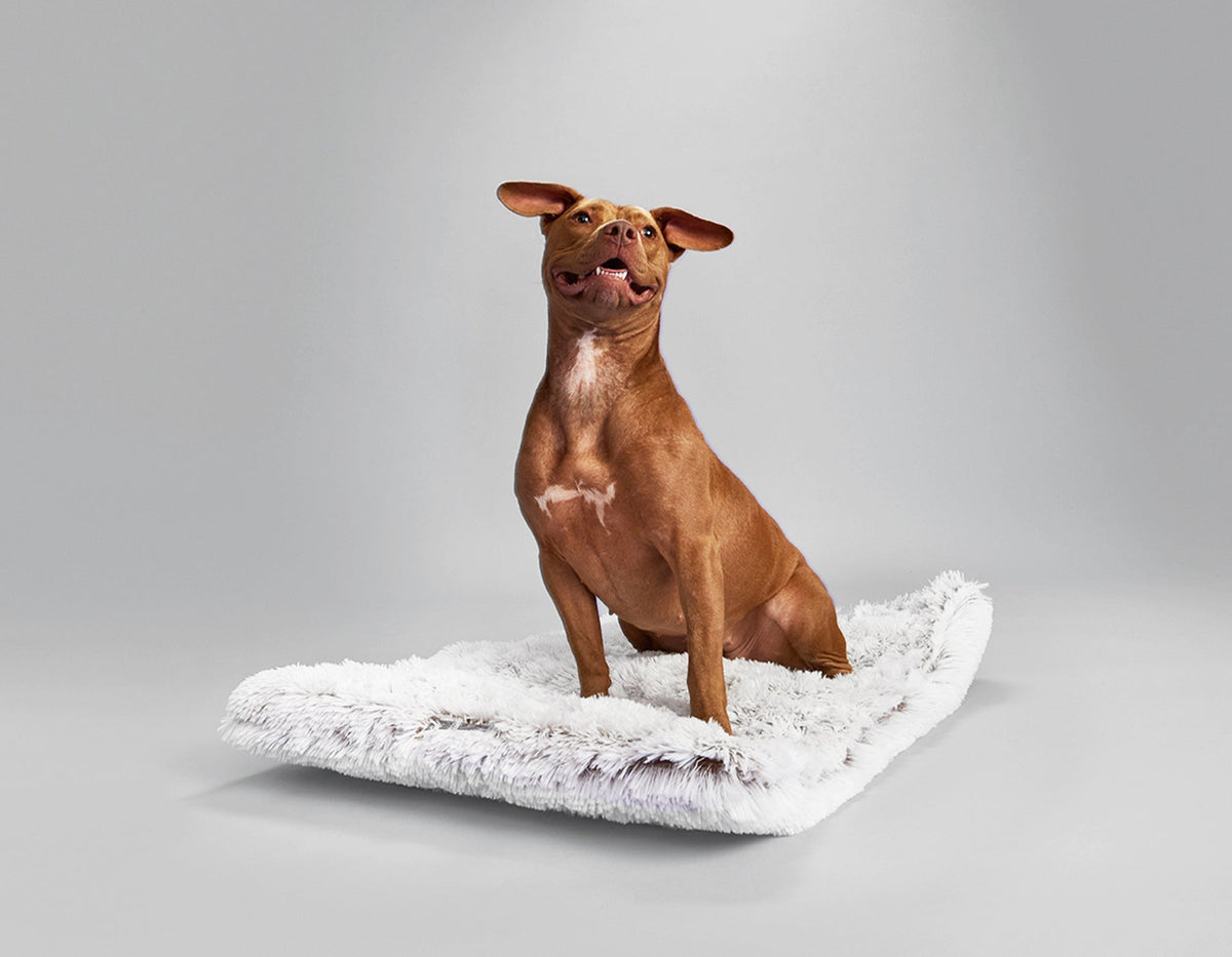 Arctic Shag Cozy Mat