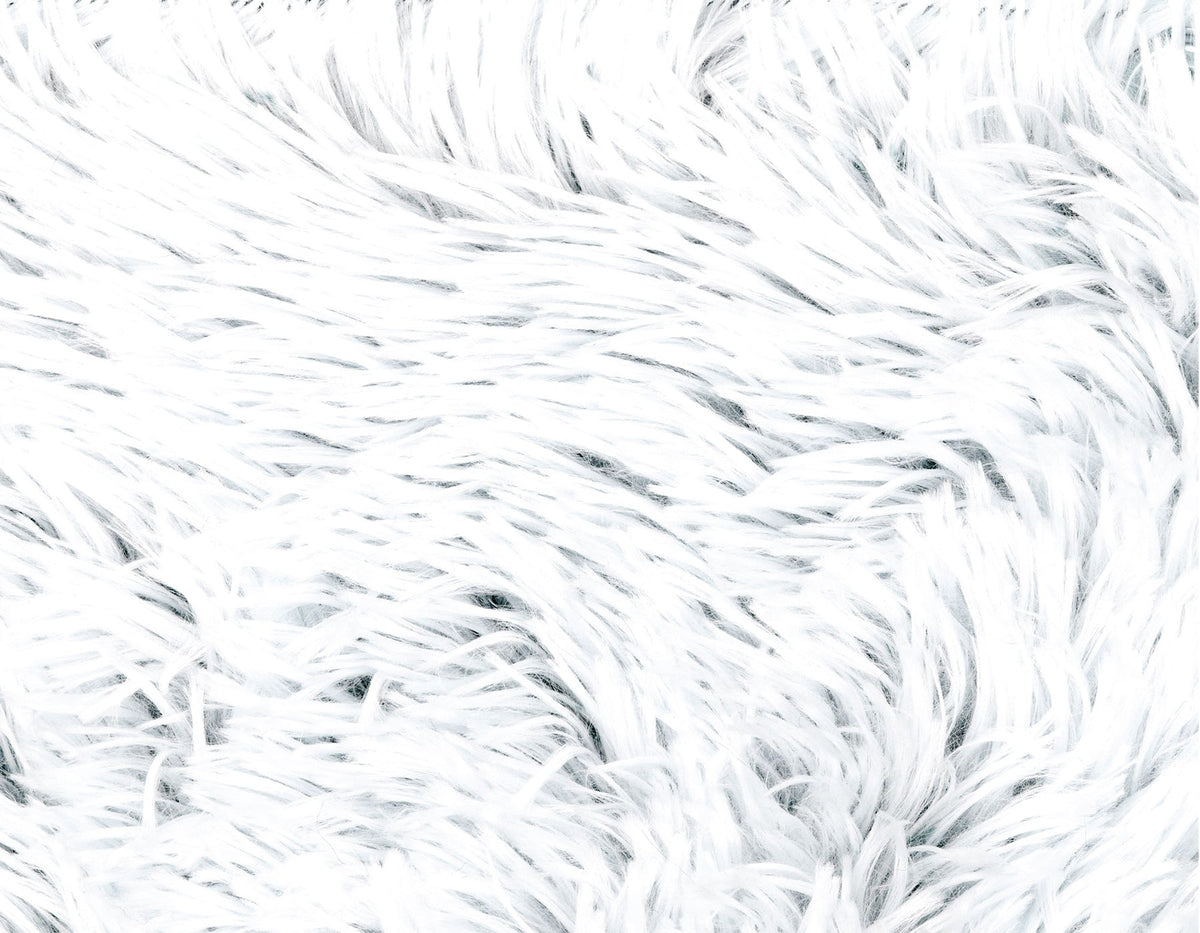 Arctic Shag Cozy Dog Mat, Ultra-Soft, Washable