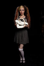 Babirusa Replica Skull view 6