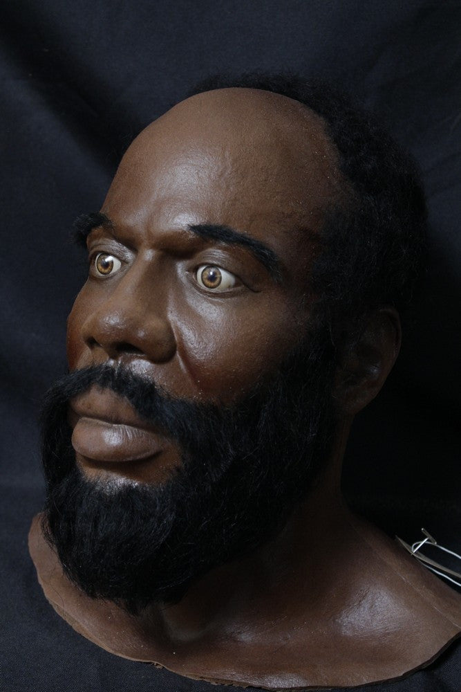 Bearded Richard Head Halloween decoration