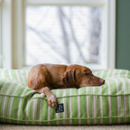 Classic Stripe Rectangle Dog Bed