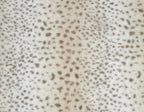 Cheetah Faux Fur Pet Blanket