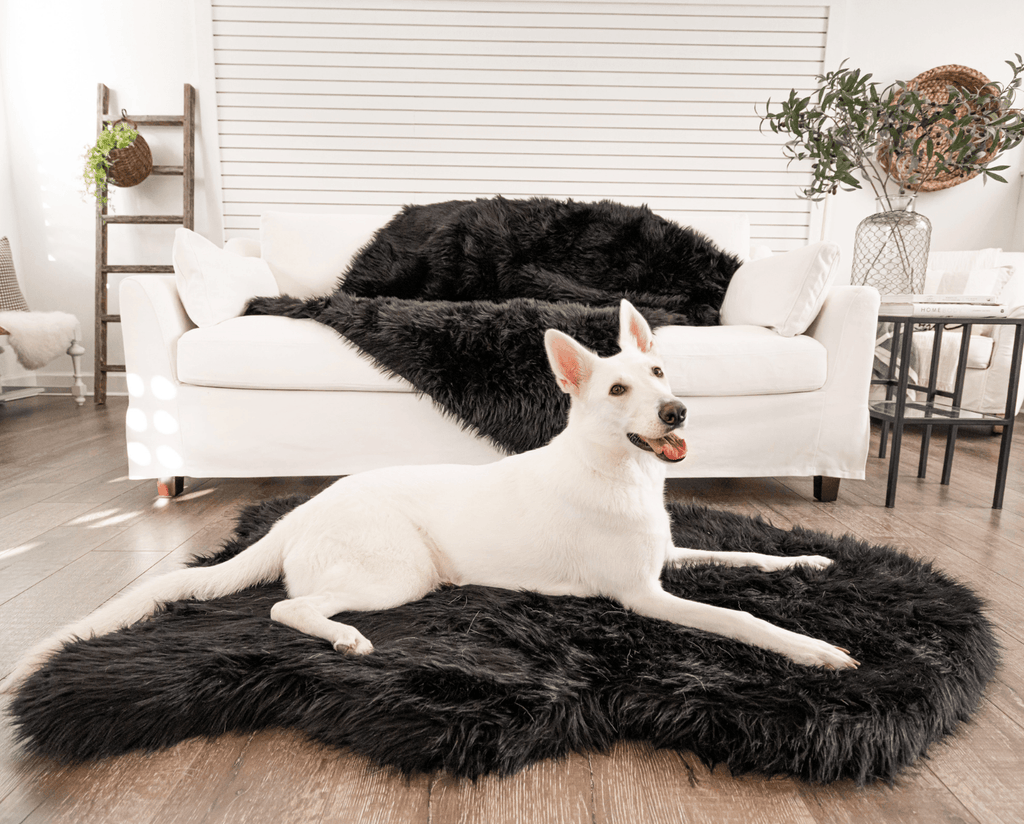 PupRug by Paw.com®  Faux Fur Orthopedic Dog Bed - Curve Midnight Black