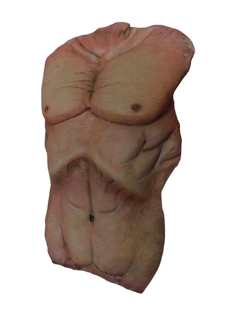 Cadaver Torso Skin Halloween decoration