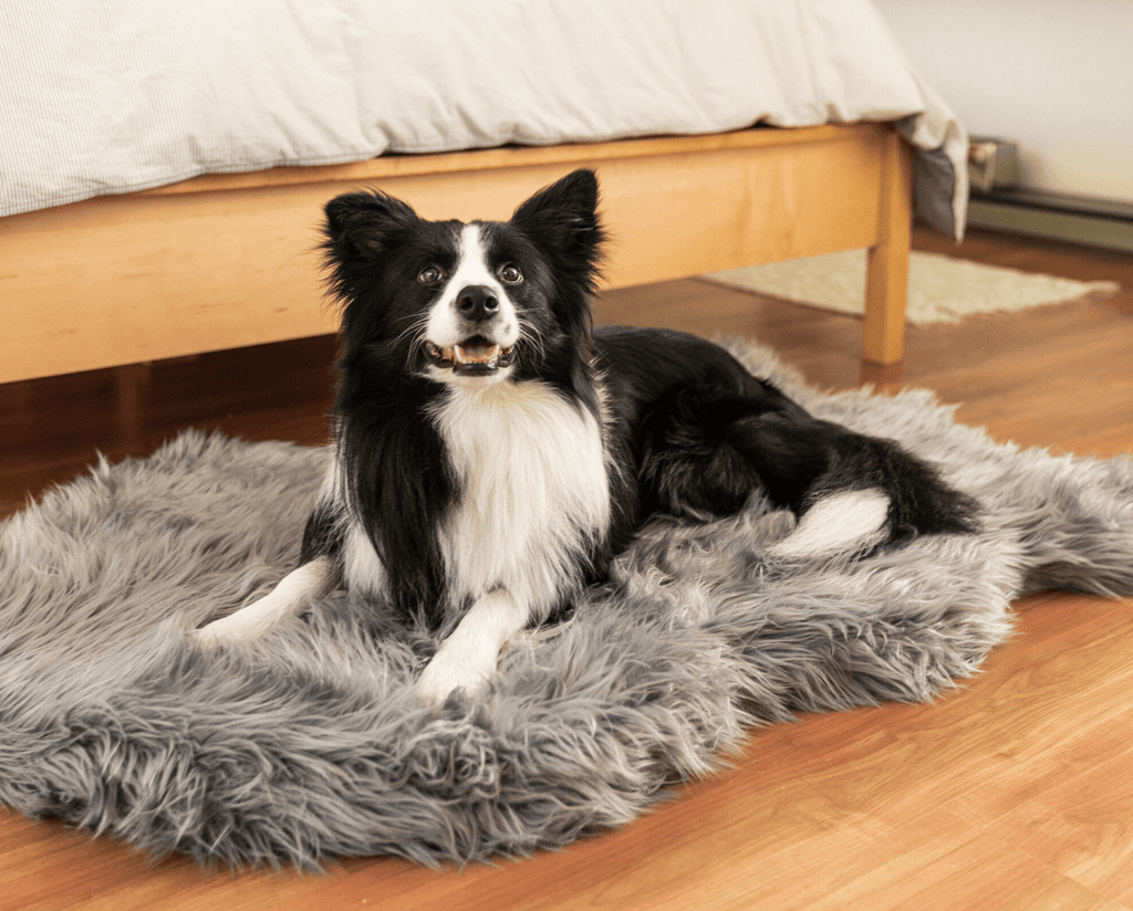 PupRug by Paw.com® Faux Fur Orthopedic Dog Bed - Curve Charcoal Grey