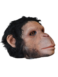 Chimp Head Halloween decoration