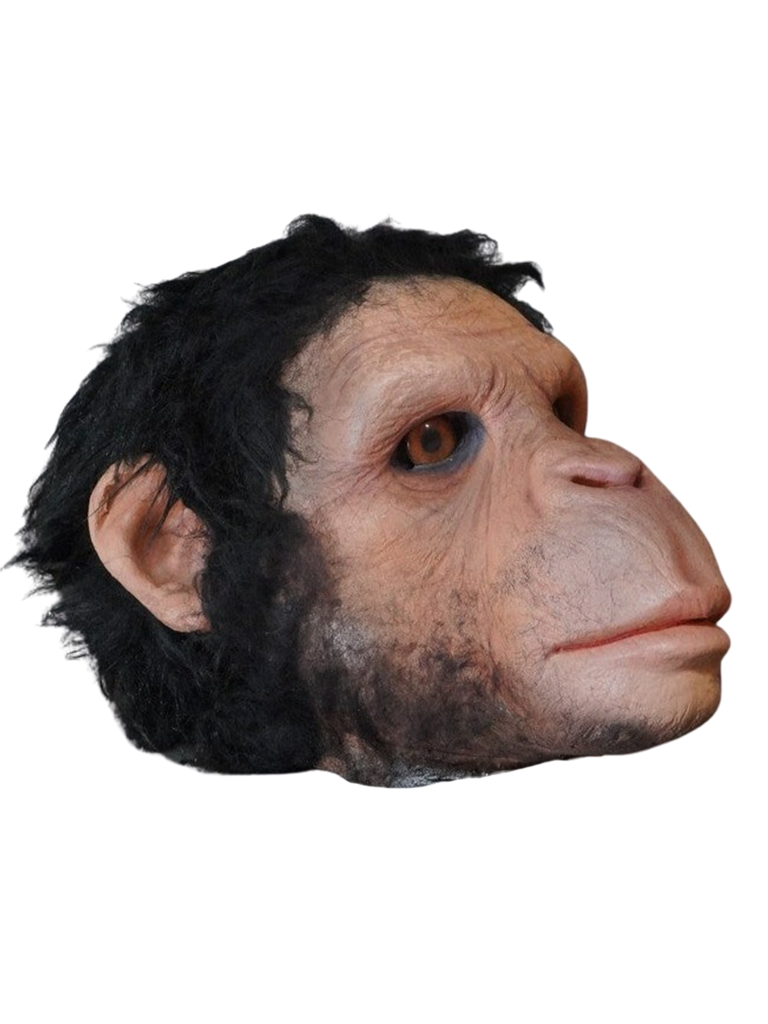 Chimp Head Halloween decoration