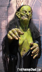 "Helga the Witch" HD Studios Pro Halloween Costume view 4