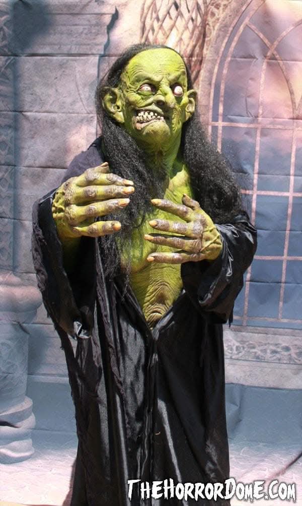 "Helga the Witch" HD Studios Pro Halloween Costume view 5