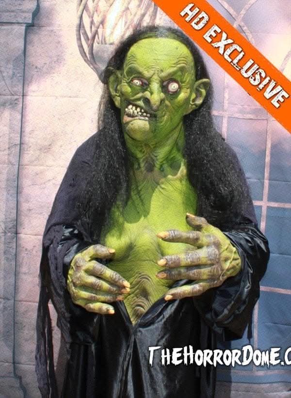 "Helga the Witch" HD Studios Pro Halloween Costume view 7