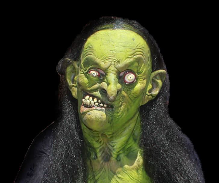 "Helga the Witch" HD Studios Pro Halloween Costume view 3