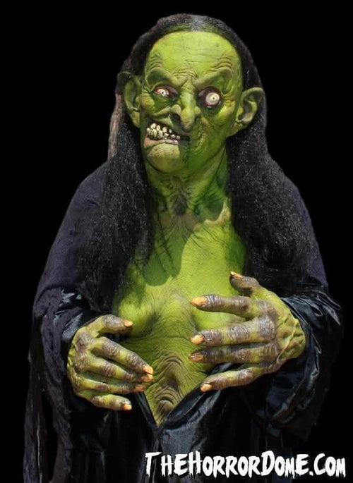 "Helga the Witch" HD Studios Pro Halloween Costume view 2