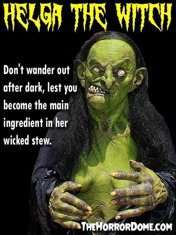 "Helga the Witch" HD Studios Pro Halloween Costume view 8