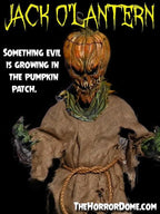 Jack O'Lantern HD Studios Halloween Costume view 5