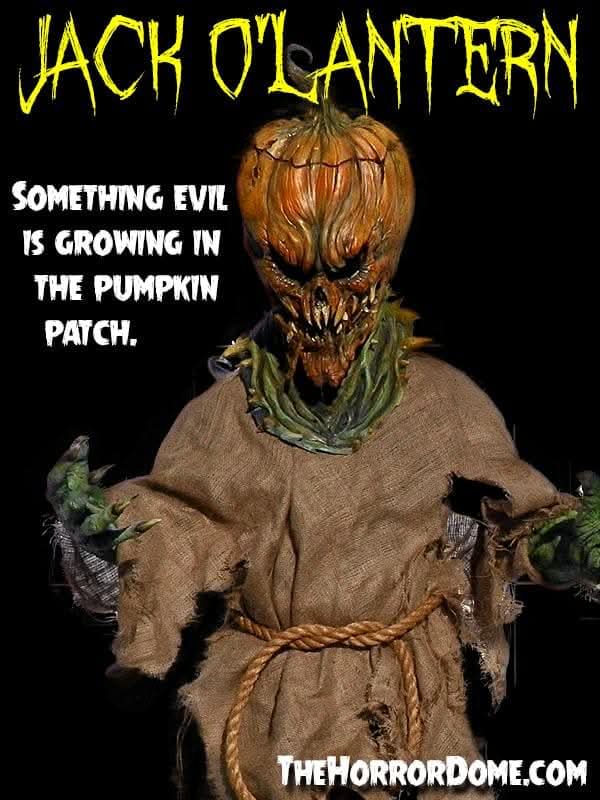 Jack O'Lantern HD Studios Halloween Costume view 5