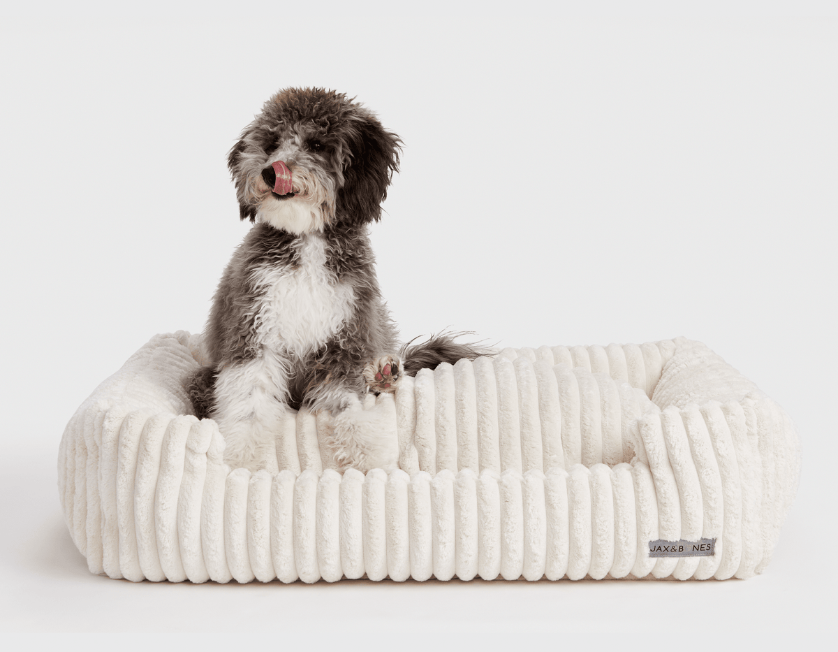Luna Ivory Lounge Bed