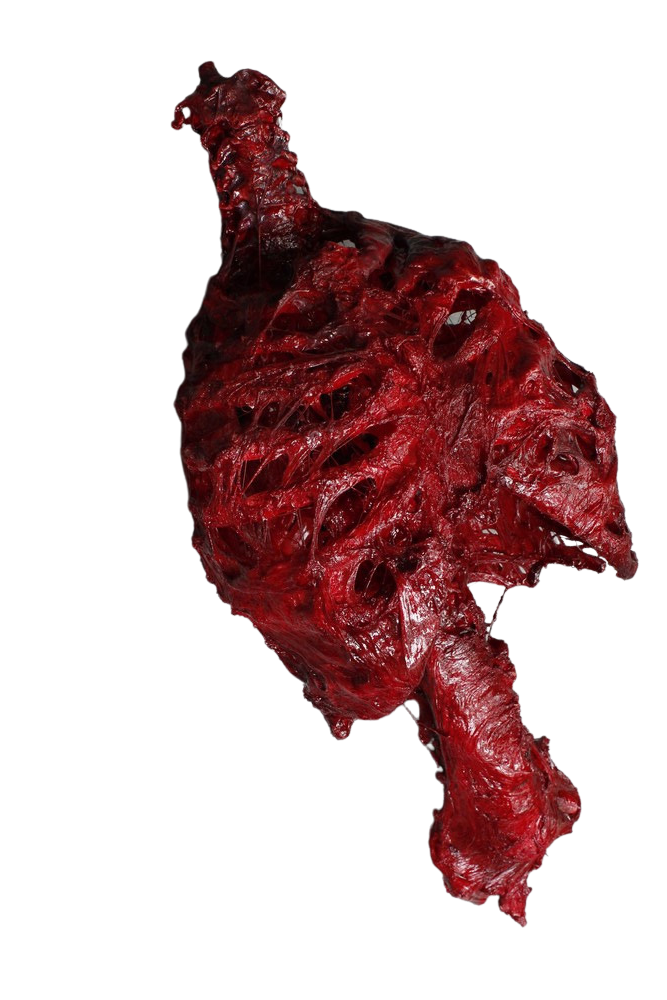Bloody Meat Ribs Halloween decoration