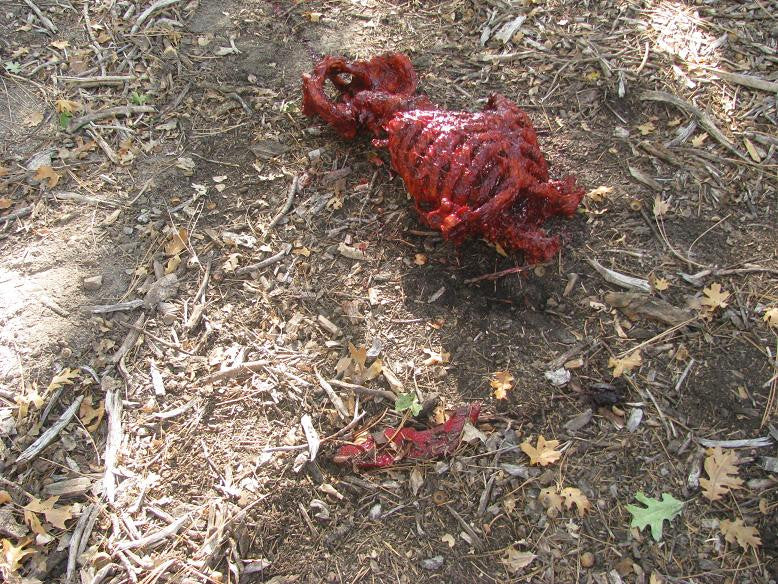Bloody Meat Ribs view 6
