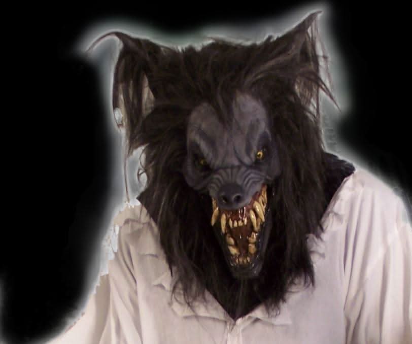 "Night Rage" HD Studios Werewolf Halloween Costume view 3