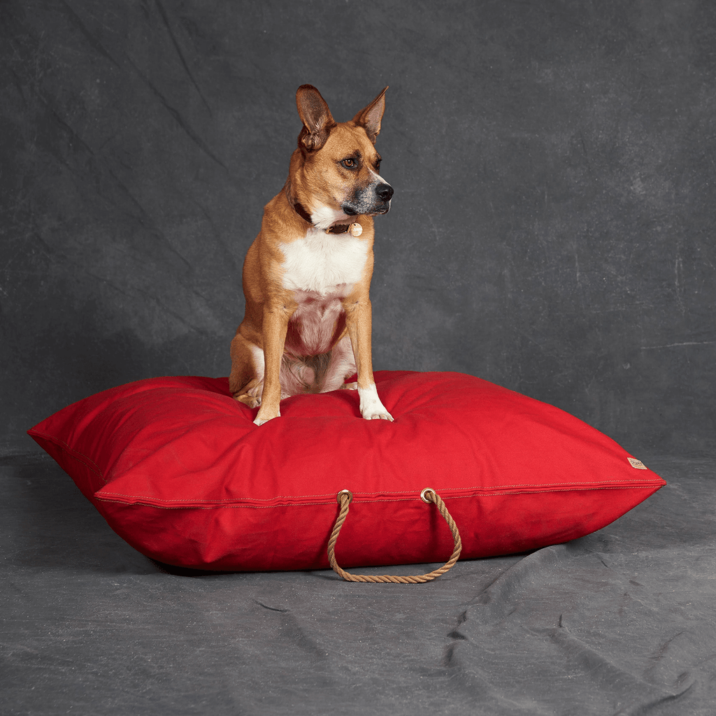 Red Washable Velvet Dog Bed