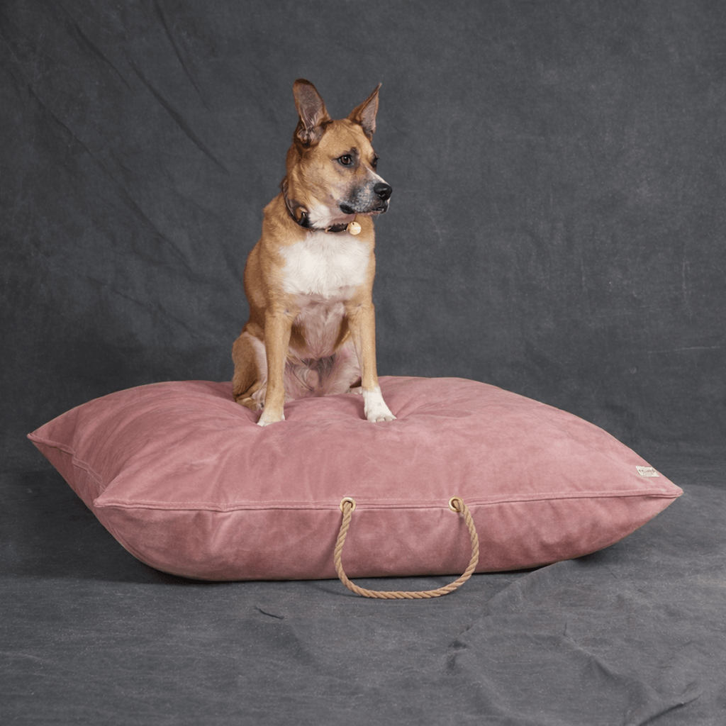 Rose Washable Velvet Dog Bed