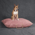 Rose Washable Velvet Dog Bed