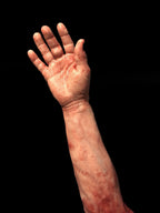 "Severed Male Right Arm - Silicone" Human Body Part Halloween Prop Halloween decoration