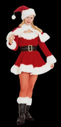 "Sexy Miss Santa - Adult Small" Costume Halloween decoration