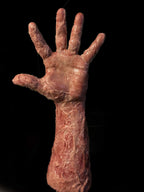 "Silicone Burned Male Arm" Body Part Halloween Prop Halloween decoration