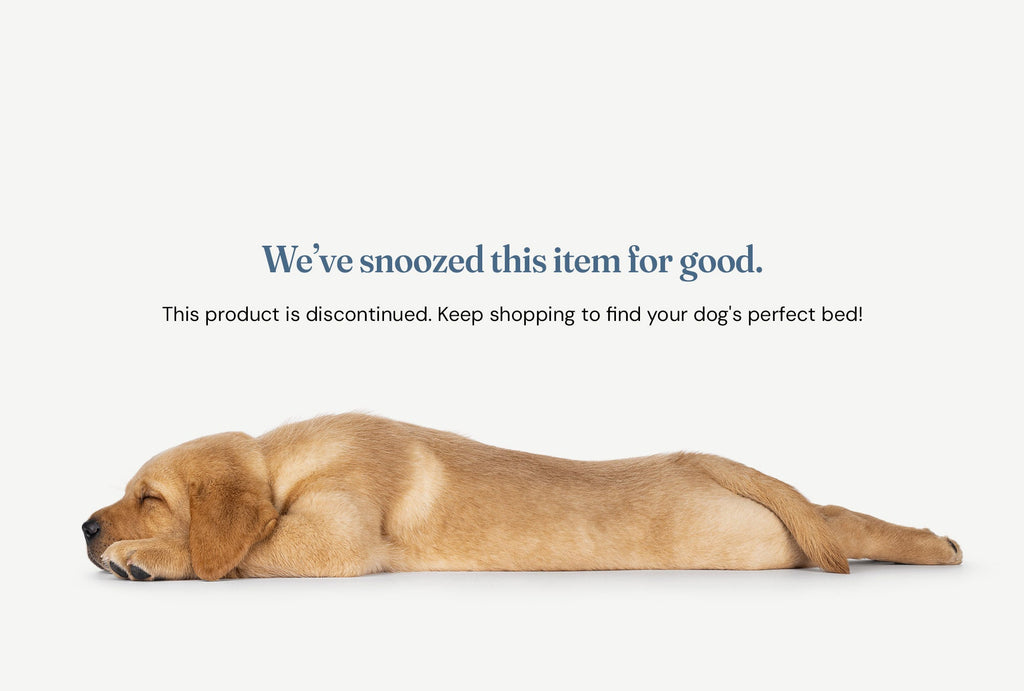 Junior Orthopedic Dog Bed