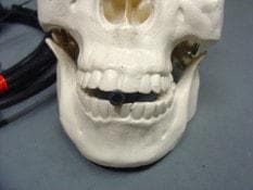 "Spitter Mechanism" Animated Halloween Prop Accessory view 2