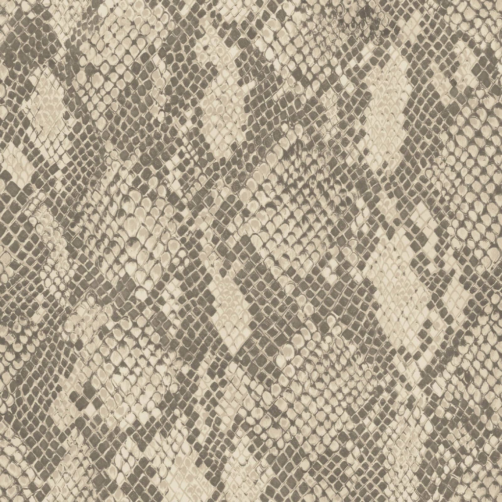 COBRA Wallpaper - Phlox